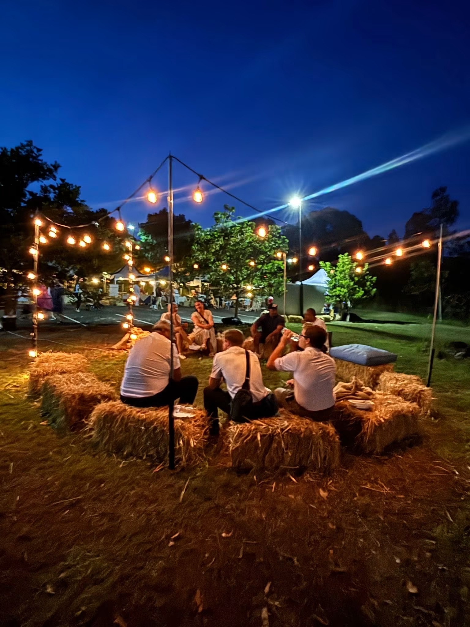 Visitors sitting together on straw bales under strings of festoon lights at night